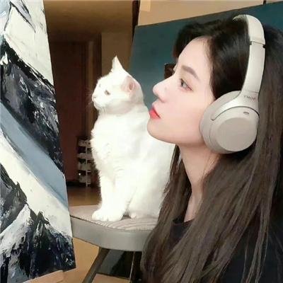好莱坞芭比电影版